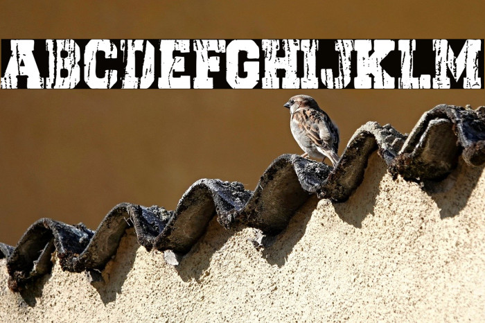 Dark College Example 3