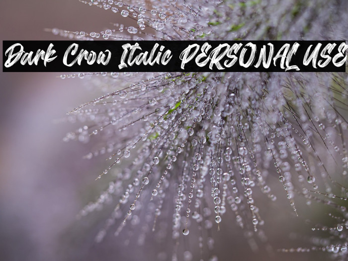 Dark Crow Italic PERSONAL USE Example 2