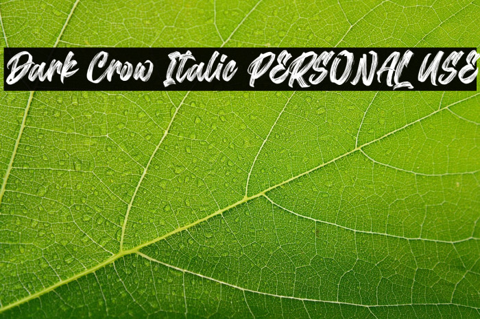 Dark Crow Italic PERSONAL USE Example 3
