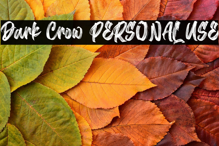 Dark Crow PERSONAL USE Example 3