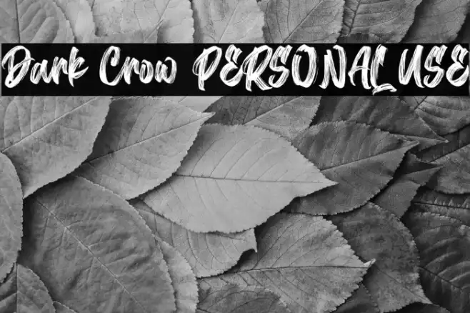 Dark Crow PERSONAL USE Example 3