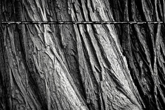 Dark Crow Swash PERSONAL USE Example 3