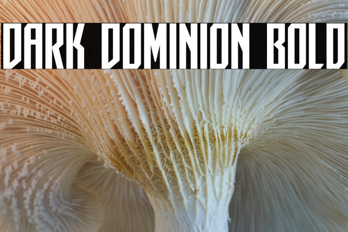 Dark Dominion Bold Example 1