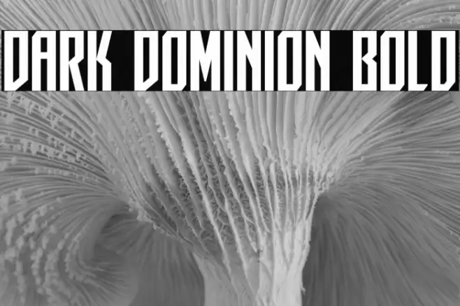 Dark Dominion Bold Font examples
