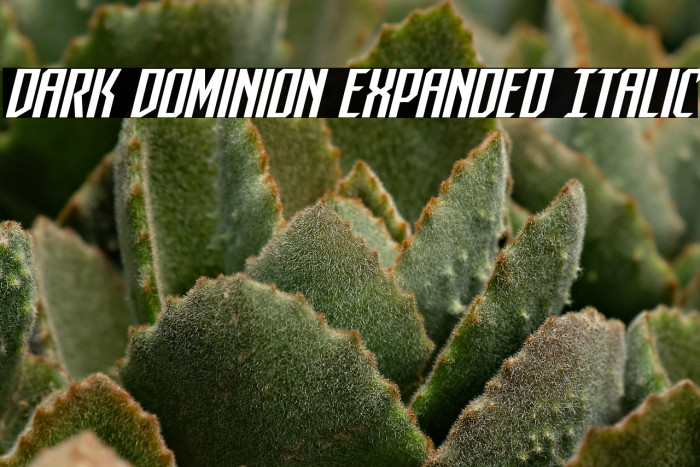 Dark Dominion Expanded Italic Example 1