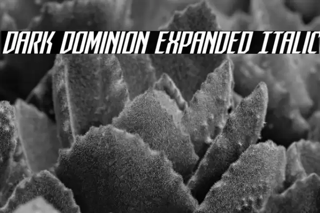 Dark Dominion Expanded Italic Font examples