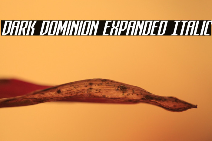Dark Dominion Expanded Italic Example 3
