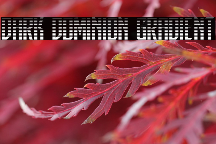 Dark Dominion Gradient Example 3