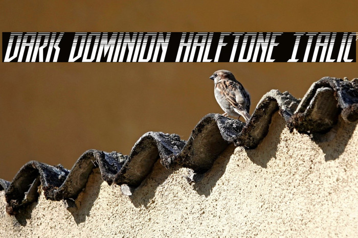 Dark Dominion Halftone Italic Example 2