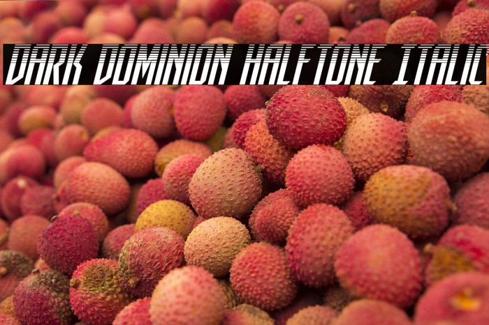 Dark Dominion Halftone Italic Example 3