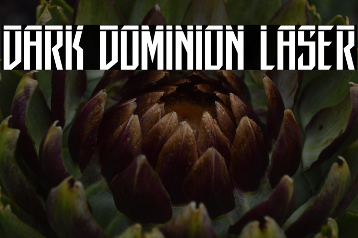 Dark Dominion Laser Example 2