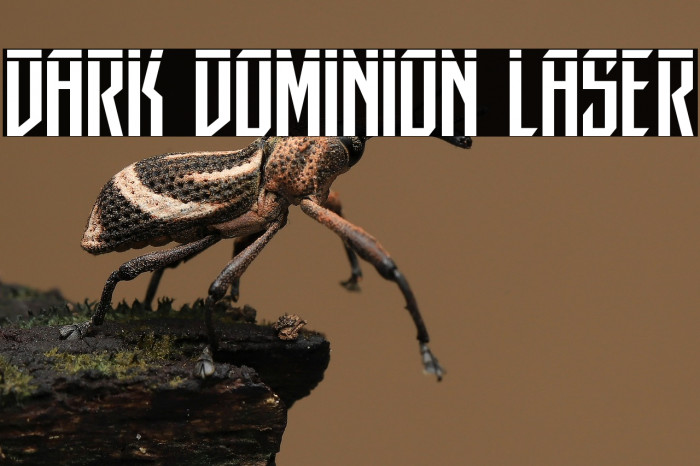 Dark Dominion Laser Example 3