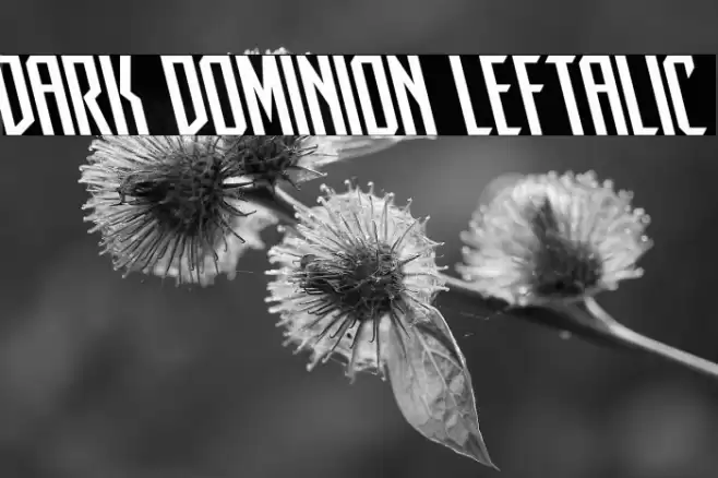 Dark Dominion Leftalic Font examples