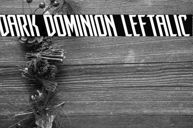 Dark Dominion Leftalic Font examples
