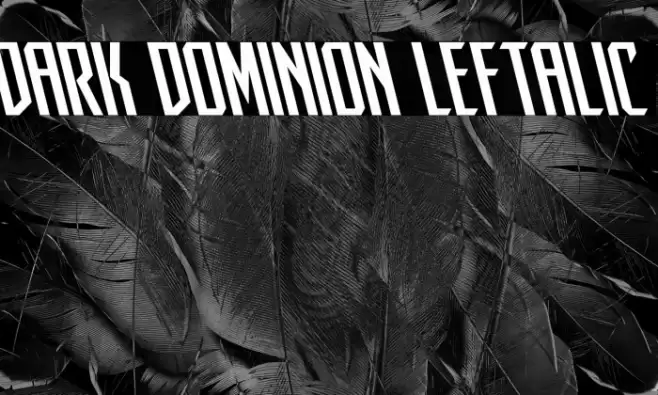 Dark Dominion Leftalic Font examples