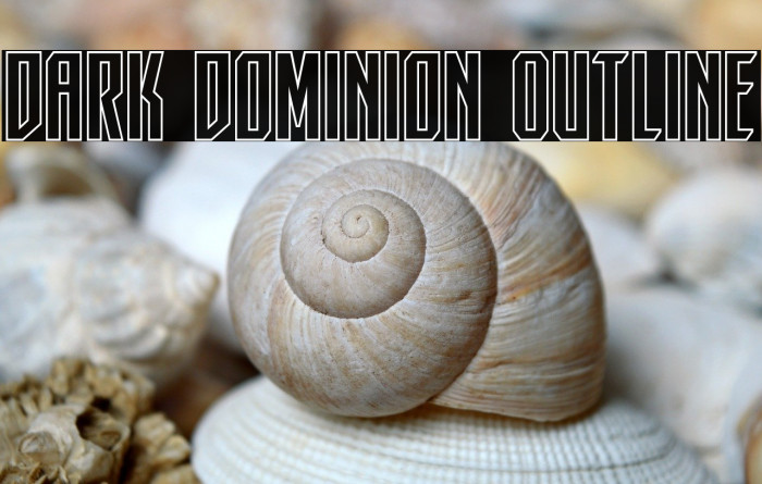 Dark Dominion Outline Example 2