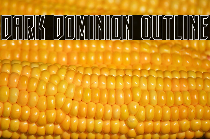 Dark Dominion Outline Example 3