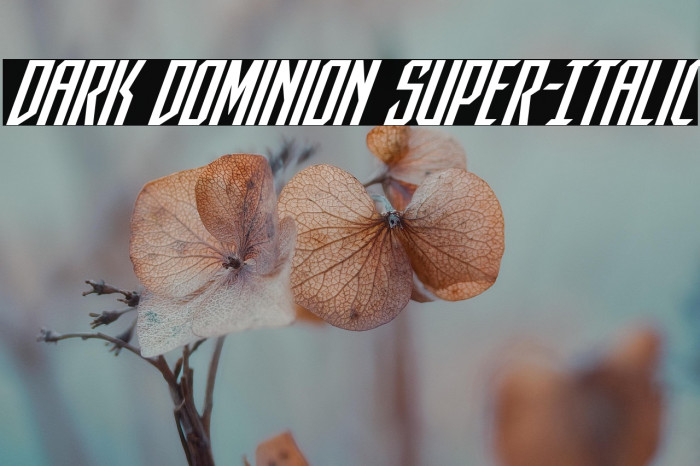 Dark Dominion Super-Italic Example 1