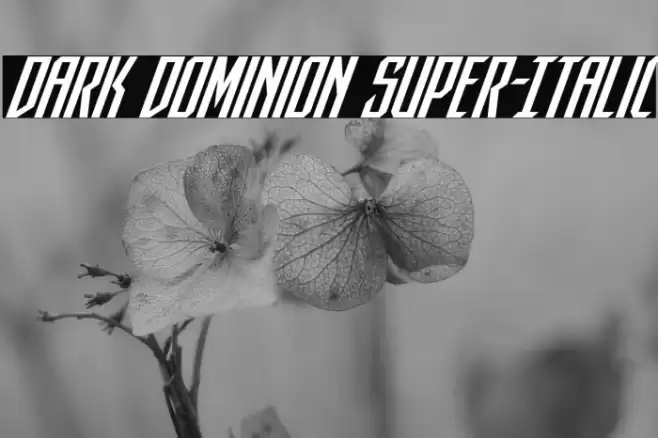 Dark Dominion Super-Italic Font examples