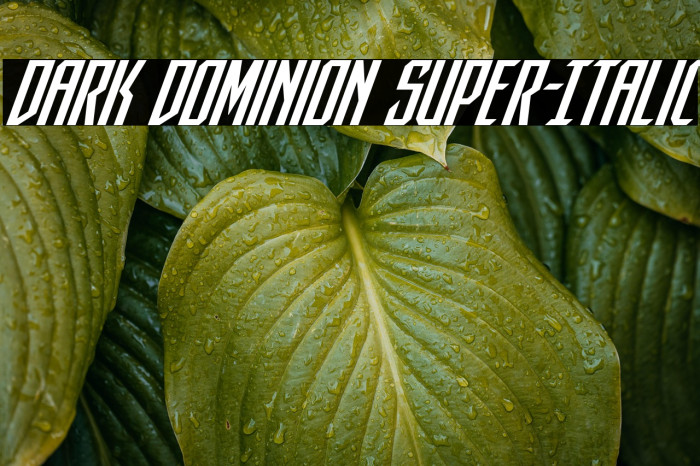 Dark Dominion Super-Italic Example 3