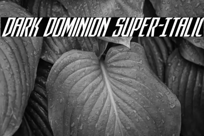 Dark Dominion Super-Italic Font examples