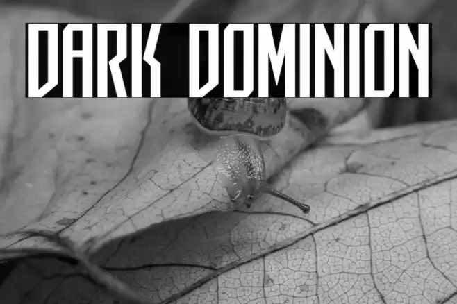 Dark Dominion Font examples