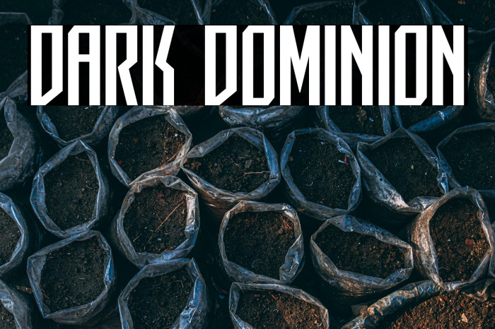 Dark Dominion Example 3
