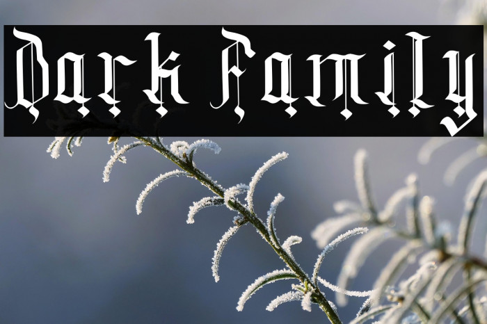 Dark Family Example 3