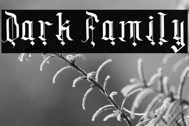 Dark Family Example 3