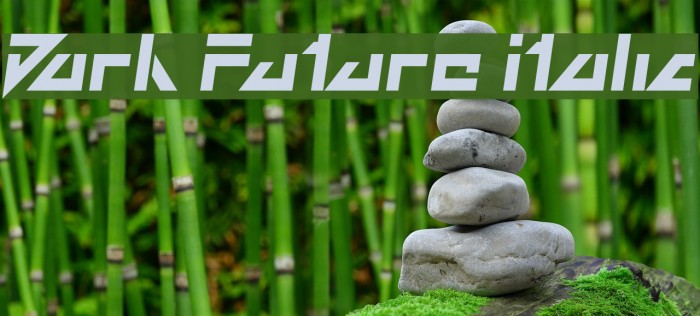 Dark Future Italic Font examples