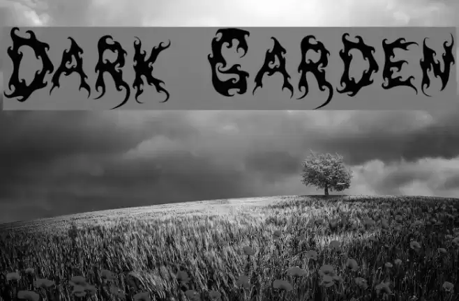 Dark Garden Шрифта examples