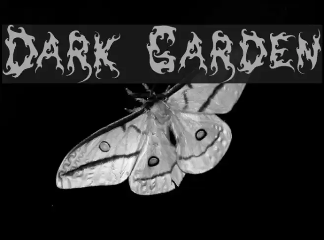 Dark Garden Шрифта examples