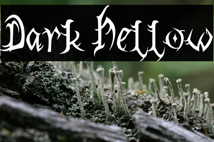 Dark Hellow Example 3