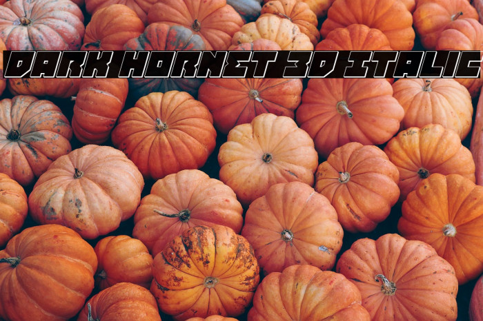Dark Hornet 3D Italic Example 1