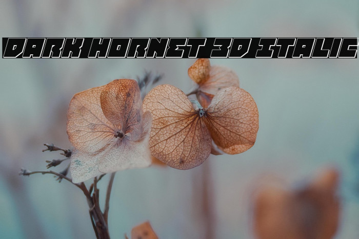 Dark Hornet 3D Italic Example 2
