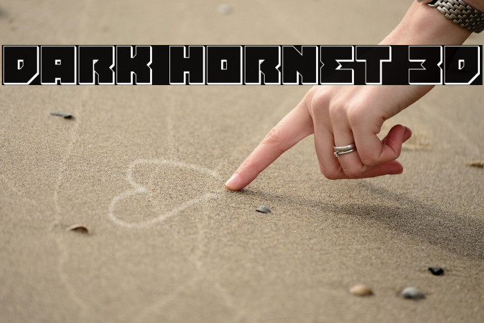 Dark Hornet 3D Example 1