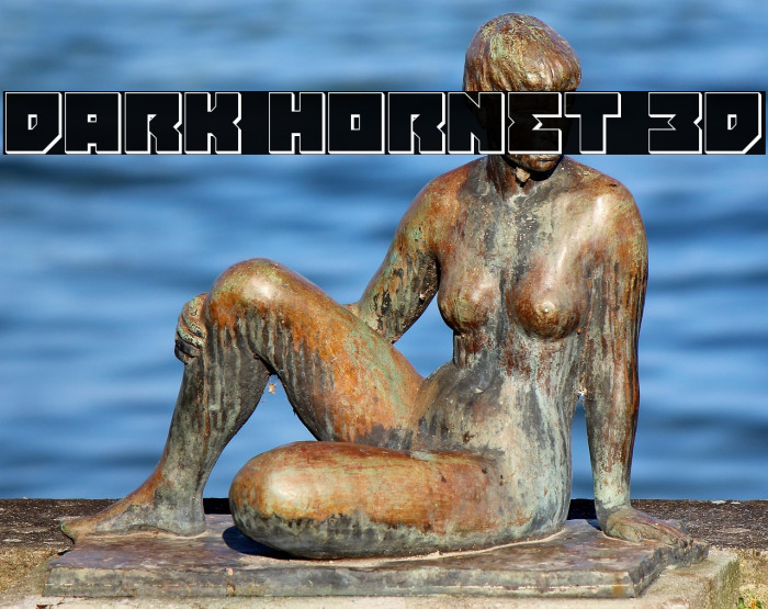 Dark Hornet 3D Example 2