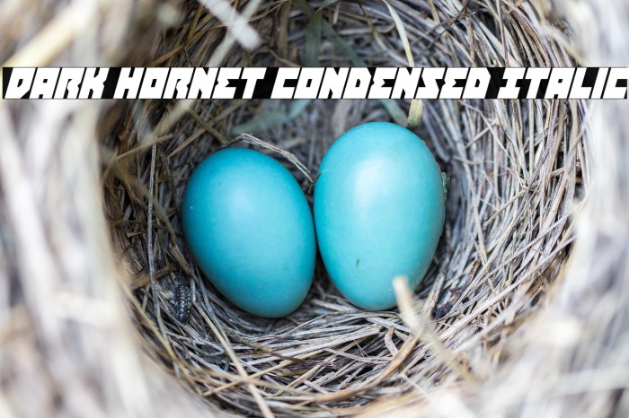 Dark Hornet Condensed Italic Example 1