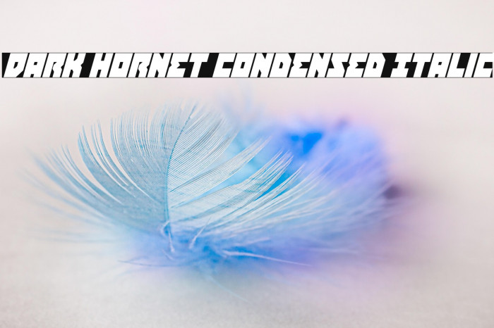 Dark Hornet Condensed Italic Example 3