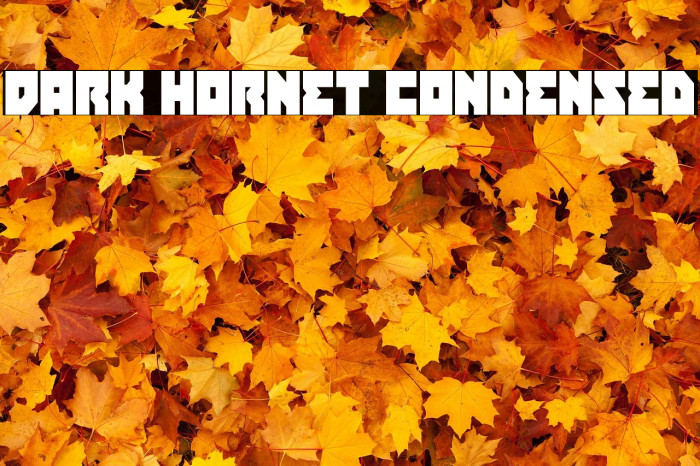 Dark Hornet Condensed Example 1