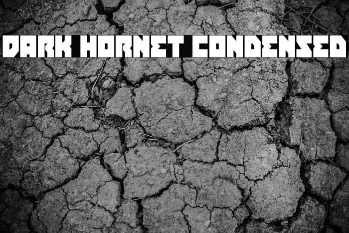 Dark Hornet Condensed Example 2