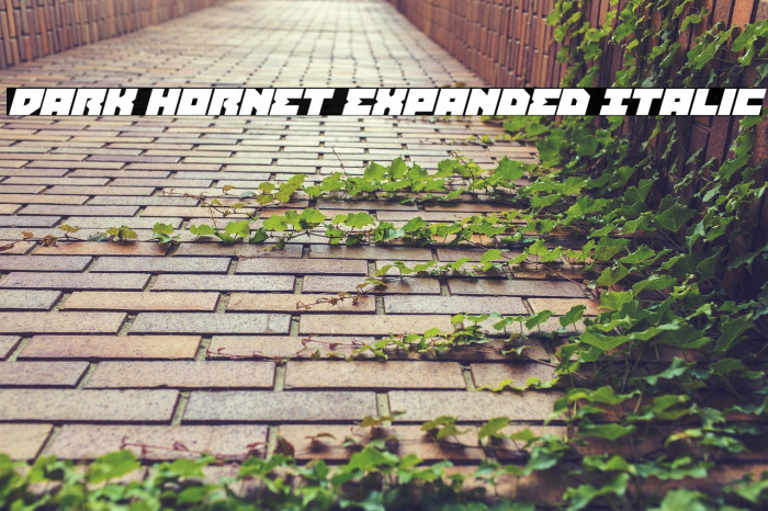 Dark Hornet Expanded Italic Example 3