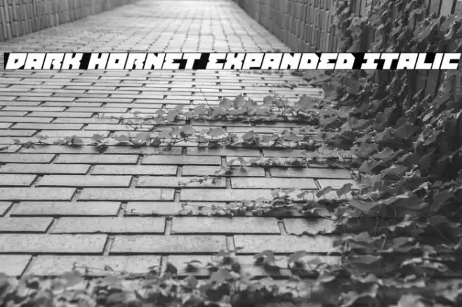 Dark Hornet Expanded Italic Font examples