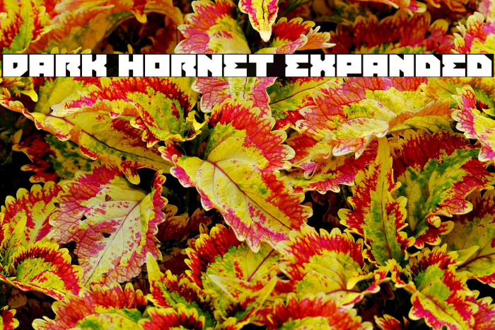 Dark Hornet Expanded Example 2