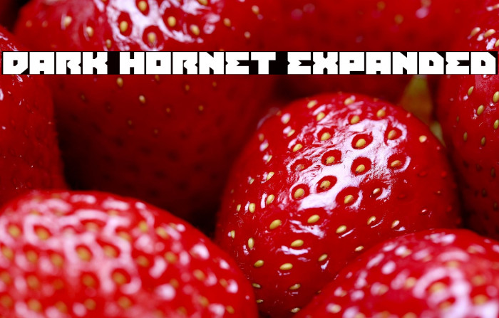 Dark Hornet Expanded Example 3