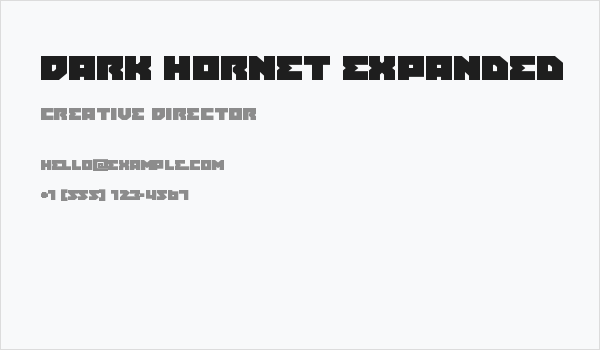 Dark Hornet Expanded Business Card