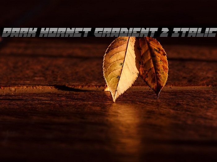 Dark Hornet Gradient 2 Italic Example 1