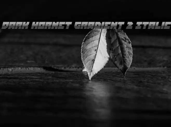 Dark Hornet Gradient 2 Italic Font examples