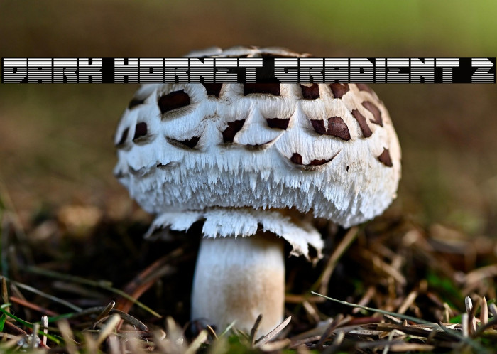 Dark Hornet Gradient 2 Example 2