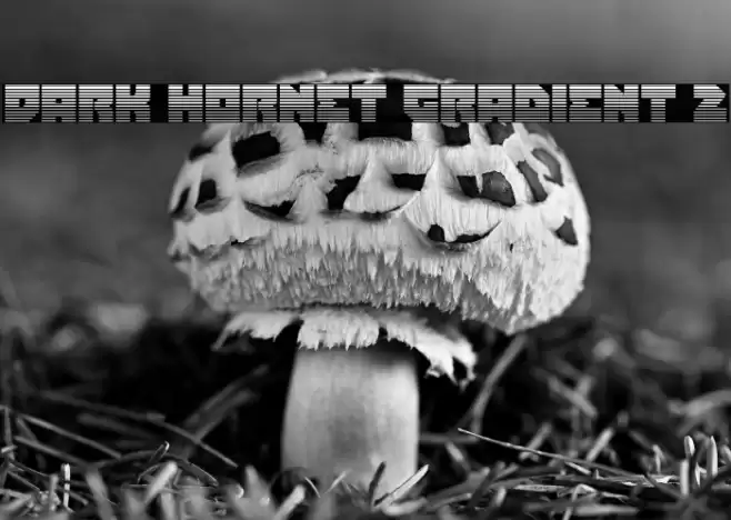 Dark Hornet Gradient 2 Font examples